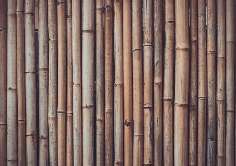 Bamboo