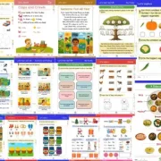 Aarambh Workbook for Preschools